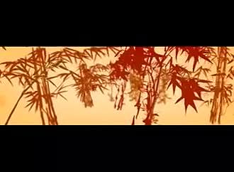 中国古风剪纸皮影京剧戏曲文化视频素材视频的预览图